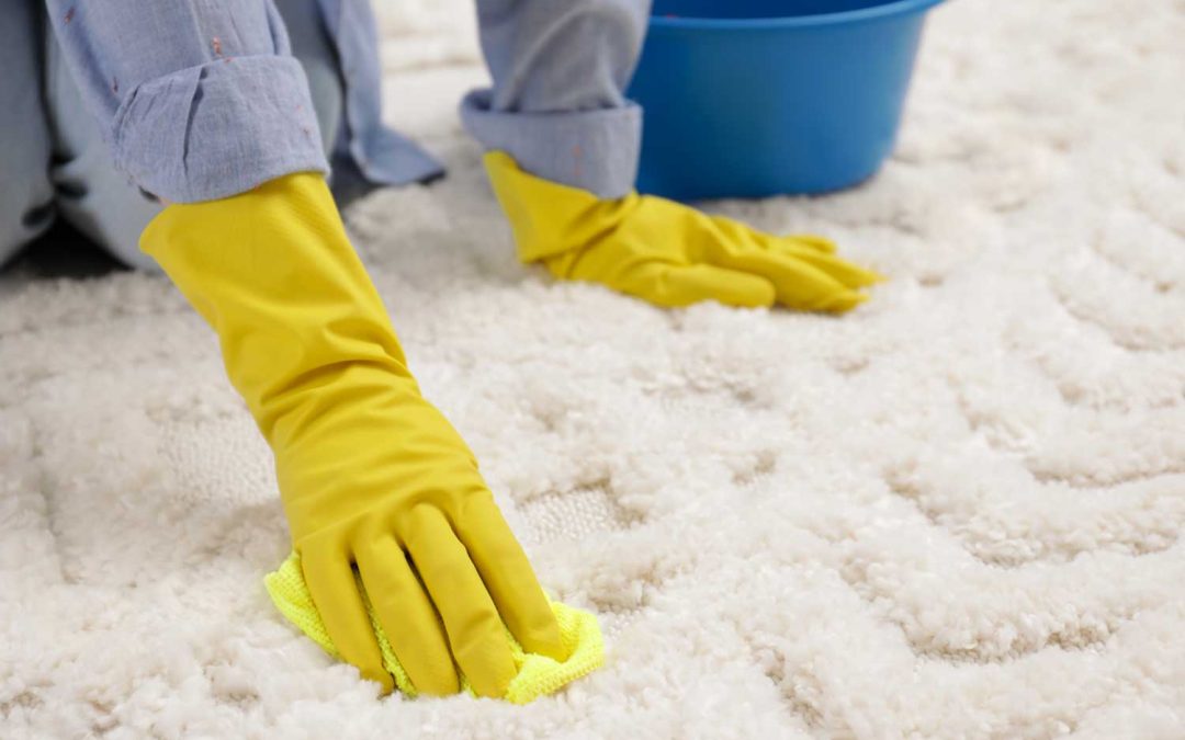 Carpet and Rug Stain Removal